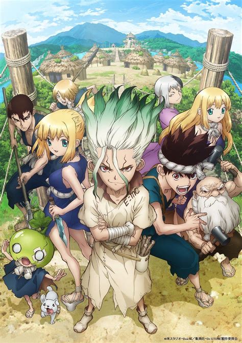 Dr. Stone .